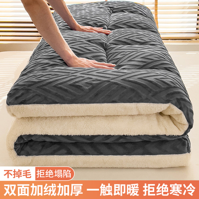 羊羔绒床垫软垫冬季保暖加厚褥子租房专用双单人学生宿舍冬天垫子