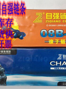 东华自强链条06B 08B 10A 12A 16A 20A 24A 28A 32A 传动 输送链