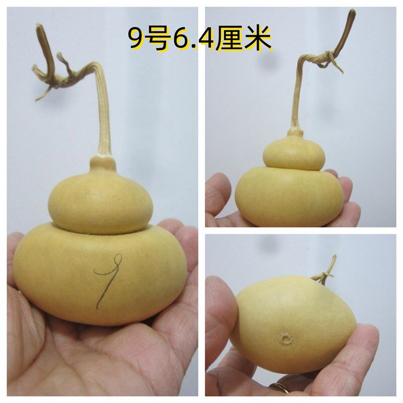 天然异形元宝钱袋葫芦摆件钱袋布袋福袋窝脖葫芦文玩手捻把玩