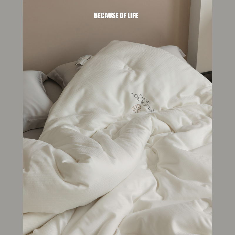 A类大豆蚕宝被 春秋被夏被可机洗1.8空调薄被冬被1.5m2米2.3 2.4m