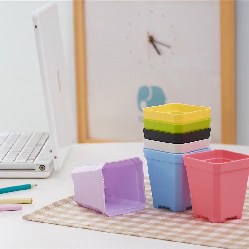 绿植盆栽多肉植物小花盆 多肉塑料小彩方 加厚 小黑方 小方盆