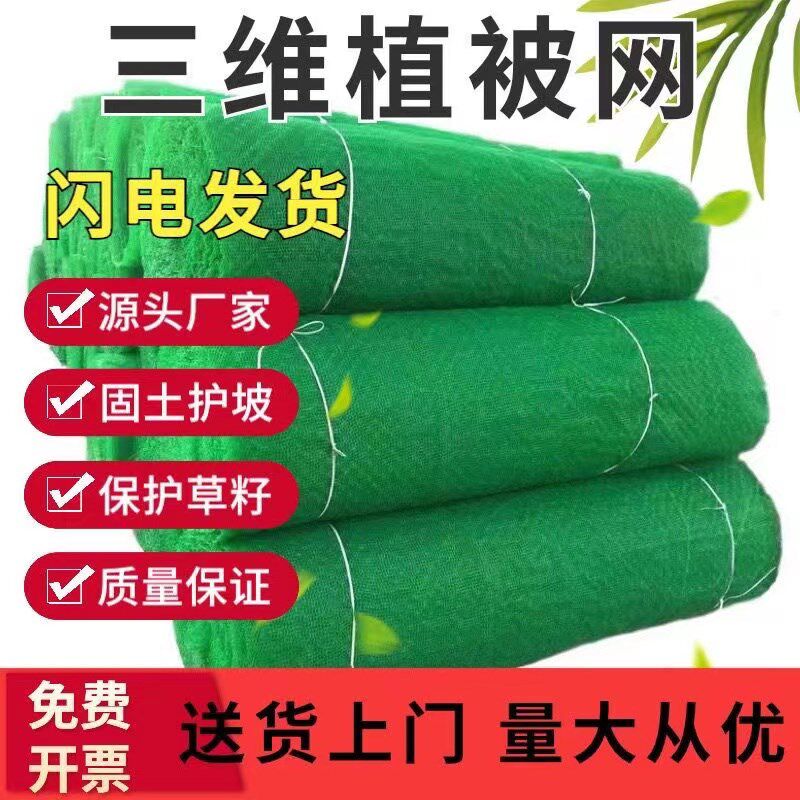 三维植被网垫植草坪固土网生态园林厂家绿化土工护坡公路高速边坡