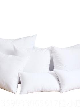 正品超柔羽纯丝棉棉布45X45 30X500 50X55 55X5 60X60 靠垫芯抱枕