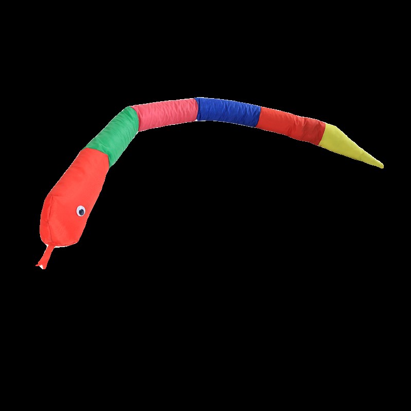 幼儿园早教教具儿童感统训练器材彩虹平衡蛇健身体育亲子走墩