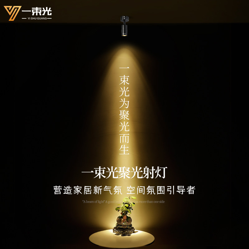 一束光聚光射灯2700K古典气氛复古氛围造型轨道式店铺专用饰品灯