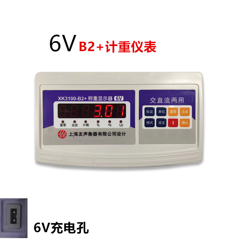 上海友声计重计数称头仪表XK3100-B2+电子秤配件xk3100称重显示器