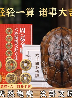易经爻六铜钱工具卦卜铜钱龟壳真龟甲六爻铜钱摇卦64卦牌算挂用品