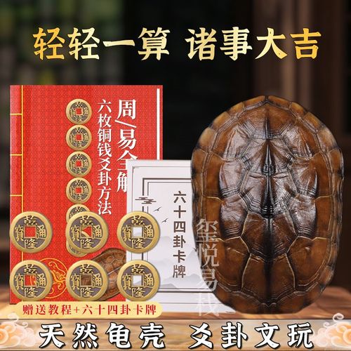 易经爻六铜钱工具卦卜铜钱龟壳真龟甲六爻铜钱摇卦64卦牌算挂用品