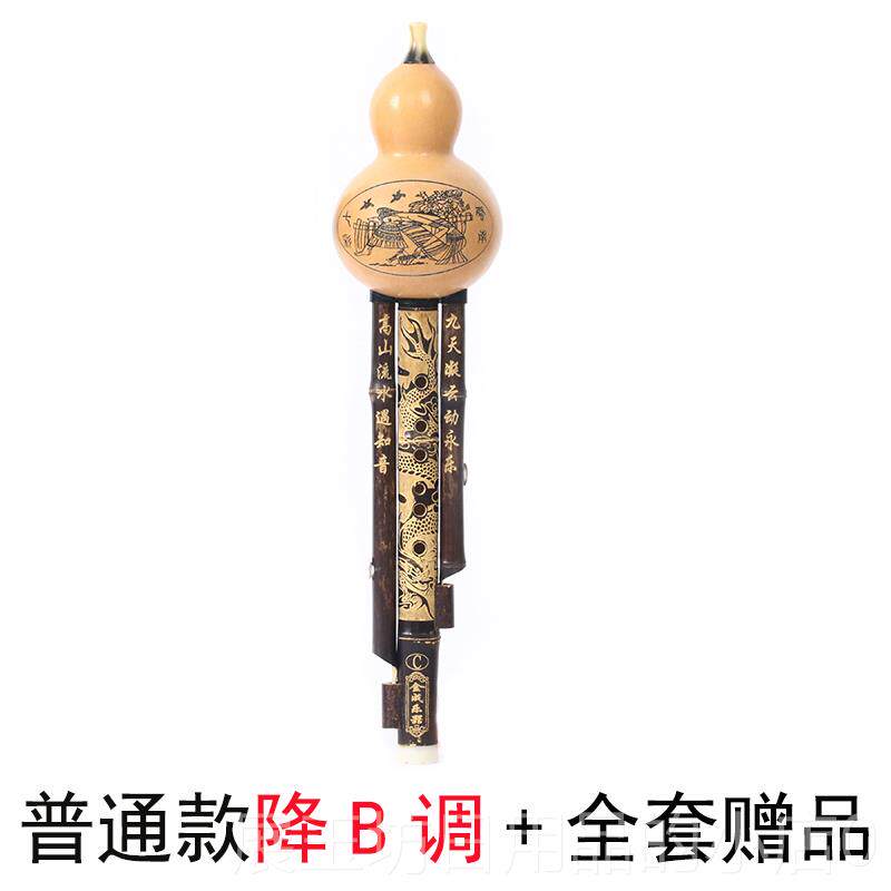 正品子乐葫芦丝专业演奏型成小生学c调g降b小daf调云南人紫竹初学