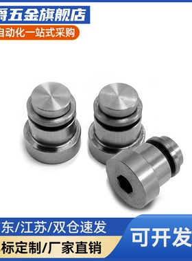 直线导轨定位销偏心销 LLT LLTS 1.4/1.8/3.5/5 ICE11-T ICE12-T5