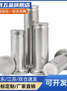 MIT01/12/03/04/05/11/16-M-D10-L15/20/25/28.530带肩铰链销现货