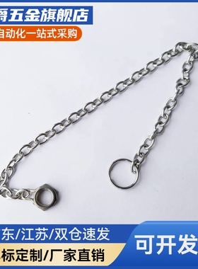 304不锈钢防脱落链条DPCH3/4/5/6/8/10-150/250/350