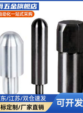 定位销YBU01/10/11/20/41/48/51/58-D 大头锥角型 内螺纹型