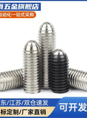 球头柱塞不锈钢现货CBSL6-10P/MSLZ/BSM-L/BSBZL4 UCS5 6 8 10 12