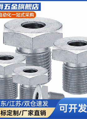 调整螺栓LVBS/LVFBS8/10/12-5/15/20/25/30/40不锈钢 调整块PAX11