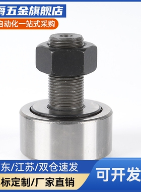 凸轮轴承随动器BPF21/22-d3-d4-d5-d6-d8-d10-d12-d20-d24-d30-PP