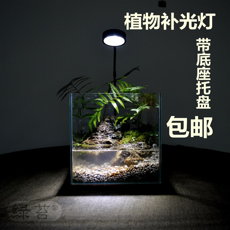 植物补光灯led灯座盆景底座微景观灯植物生长破陶罐底座灯盆景灯