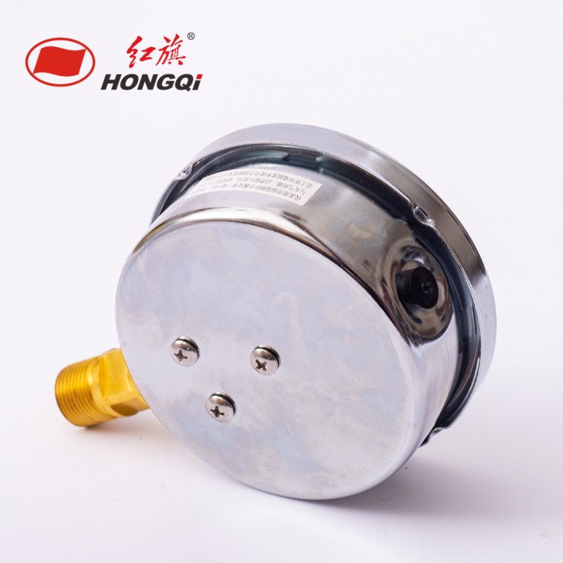 红旗仪表防震抗震压力表YTN-100耐震0-1mp充油压力表1.级100mp