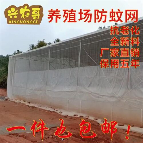 40目 60目大棚网罩 脐橙 防虫网 蔬菜瓜果 种植网 养殖网防蚊网