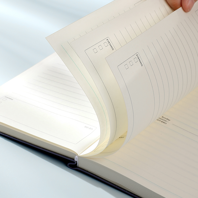 2022年日程本笔记本子新款天5每日计划表时间轴管理一日一页日记