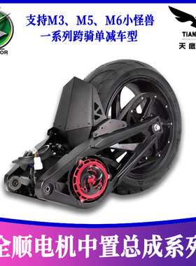 全顺72V2000W3000W中置电机总成(电镀版)电动车电摩电机 万仕龙
