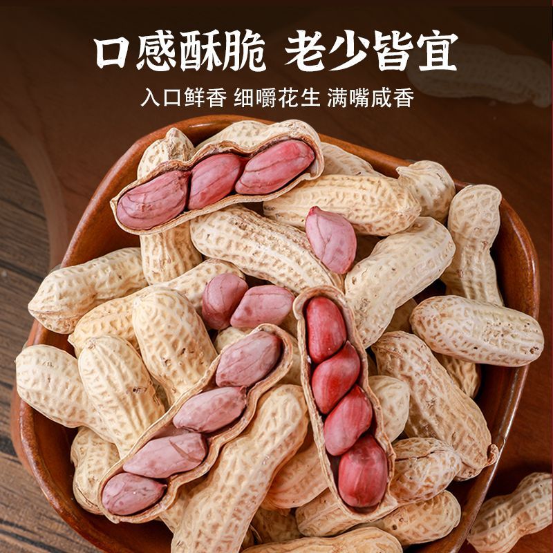 2026新鲜花生原味水煮花生日晒花生咸干带壳白晒湿烤花生农家自种