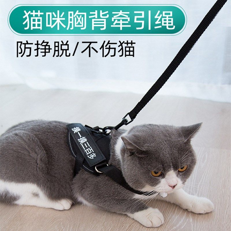 牵引绳猫咪泰迪柯基狗狗中小型犬可调节溜猫背心式链子宠物用品,宠物/宠物食品及用品,猫牵引绳,淘宝优惠券,粉丝福利购,淘宝优惠卷