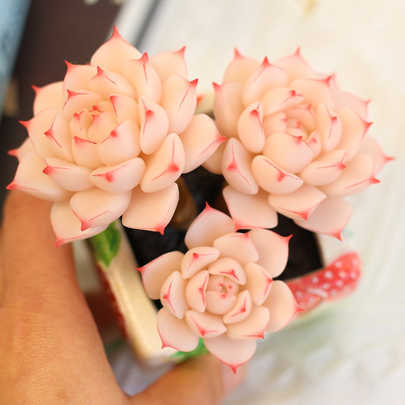 粘土手工仿真多肉植物盆栽办公室桌面室内装饰品摆件迷你永生花