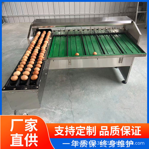 鸡蛋鸭蛋鹅蛋种蛋大小分蛋设备 蛋品分级机养殖场蛋品 厂专用
