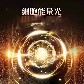 細胞能L光，ba向调控甲基化，唤醒年轻ji茵C
