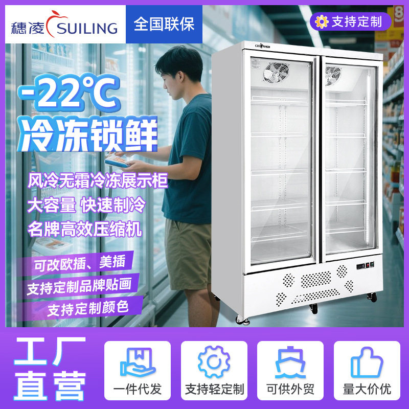 穗凌冰柜展示冷冻柜大容量单温商用冰箱商超冷冻食品立式展示柜图片