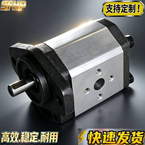 意大利META HYDRAULIC齿轮泵1VP2.1DF0T0B0 1VP3.2DL0T0Q0 PSE12