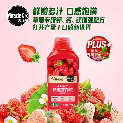 美乐棵草莓营养液家庭种植草莓专用钾钙镁配方增产易吸收水溶肥料