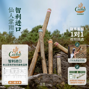 卡杜斯智利进口仙人掌雨棍户外疗愈乐器1对1视频挑选雨声筒乐器