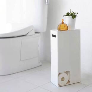 韩式厨房家用窄夹缝纸间巾物理极简整卫生卧GYN室金属置物架厕纸