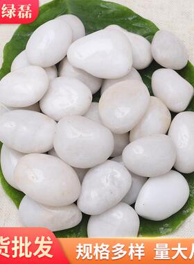 白色饰卵抛光993鹅石厂家观白色雨花石景装工程铺路小石头子