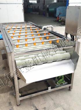 海蚝鲜贝IAS类毛刷清洗机生辊扇贝海不螺高压洗泥机毛清洗伤物料