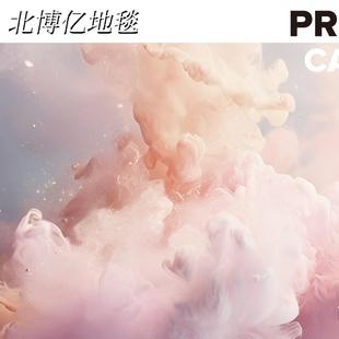 方块PV底背办公室写字楼纤维材质办公区域会议室简C约毯地毯满铺1