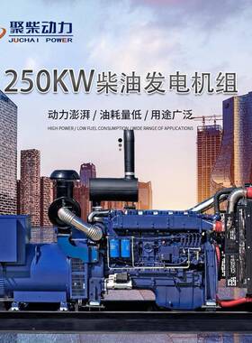 200K柴油发电机组25kwPYZ0300瓦养殖场应急用400kw全千W自动发电