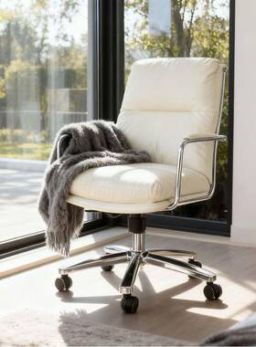 脑椅家用舒适轻奢转办公椅学习书桌椅升降电椅JPK电竞椅靠子背椅