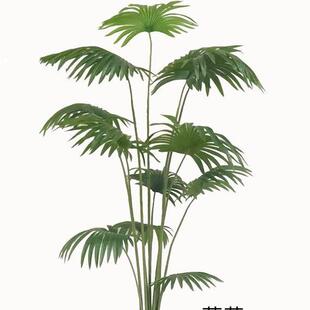 含景阳仿真绿AUF植散尾葵椰葵针仿葵园林造家居店摆设真树酒绿植