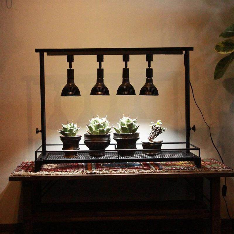 跨境日家用室内桌面花多肉阳植物架FZD台龟甲龙龙舌式绿植盆架栽,鲜花速递/花卉仿真/绿植园艺,其它园艺用品,淘宝优惠券,粉丝福利购,淘宝优惠卷