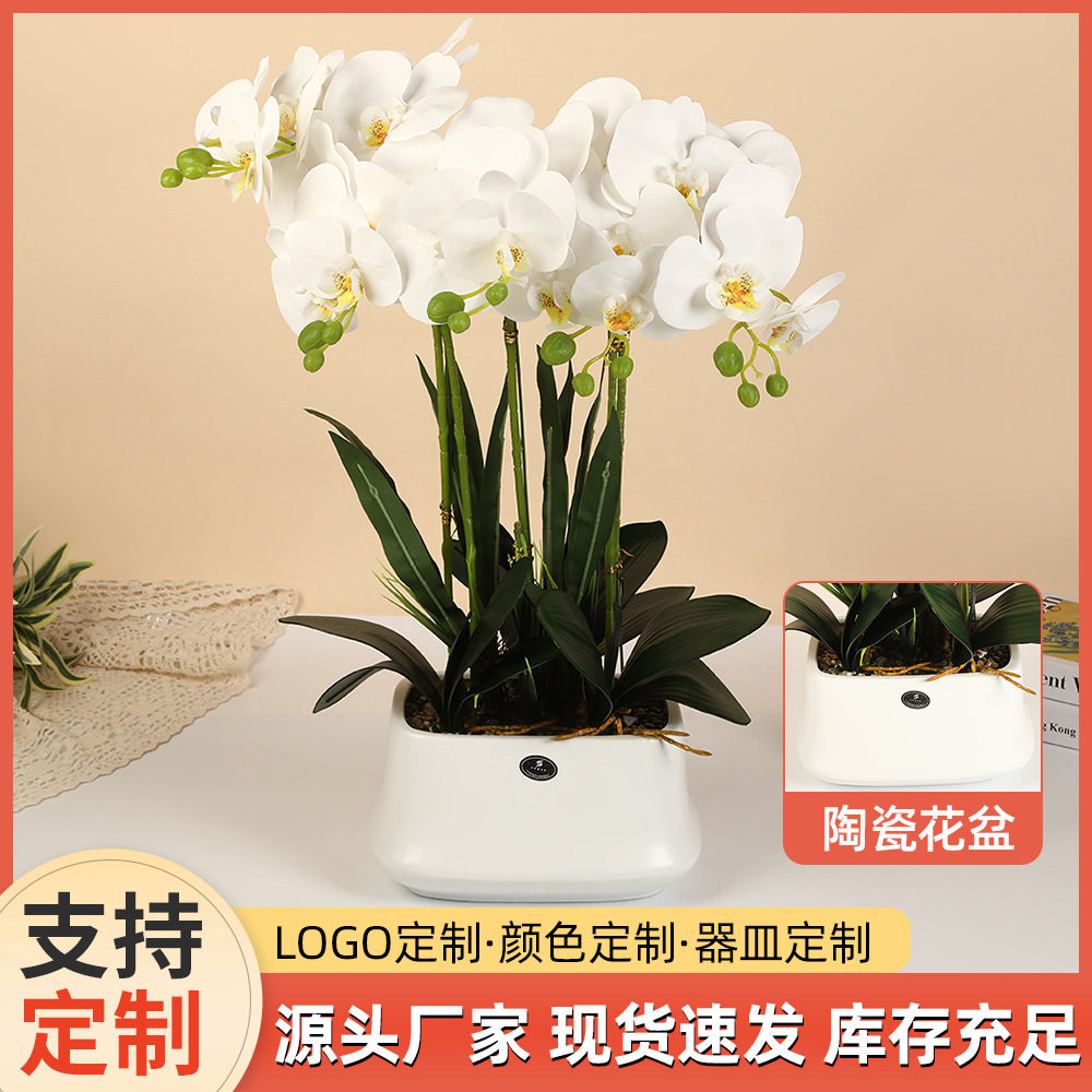 轻奢pu蝴蝶兰陶瓷盆景客厅桌面装饰仿真花盆栽摄影拍照装饰道具花