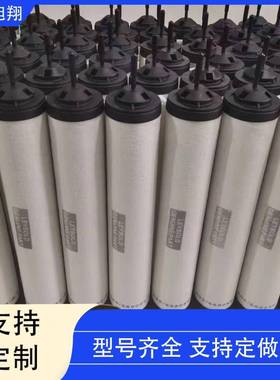 进口S德国eybold莱宝真空泵1滤芯VGFJ00B/300B71421L180