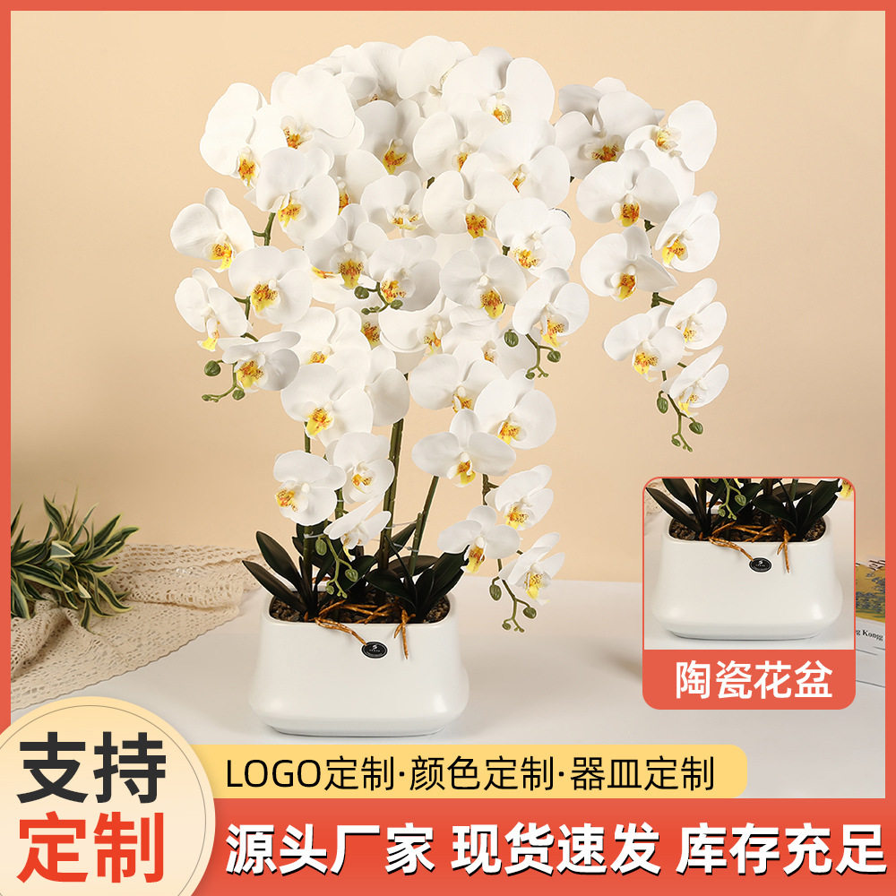 陶瓷盆PU手感蝴蝶兰摆设客厅茶几假花盆景结婚酒店布置仿真花盆栽