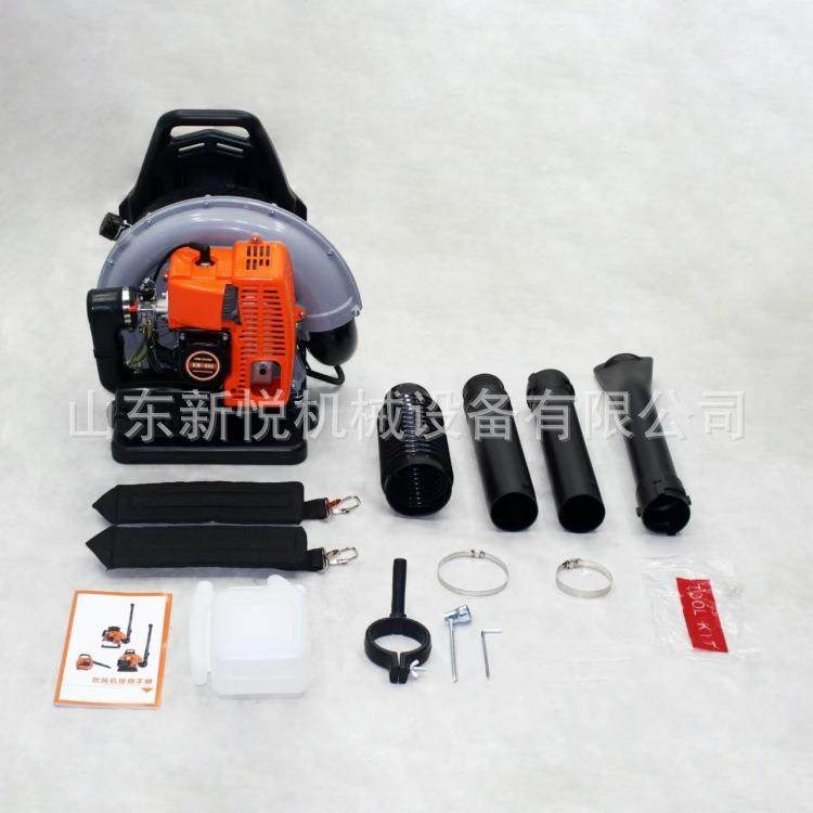 风背负式二院冲程吹雪机大功率庭落LYG叶吹区机小路面吹雪机,鲜花速递/花卉仿真/绿植园艺,其它园艺用品,淘宝优惠券,粉丝福利购,淘宝优惠卷