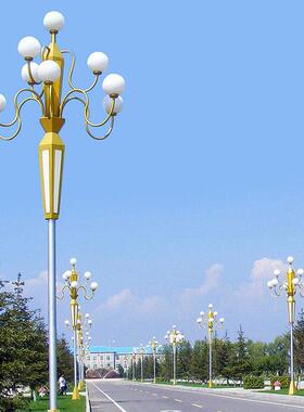 L货中华灯米玉兰灯礼花HW-ZHD-06灯户外ED户外广场街道路灯中杆现