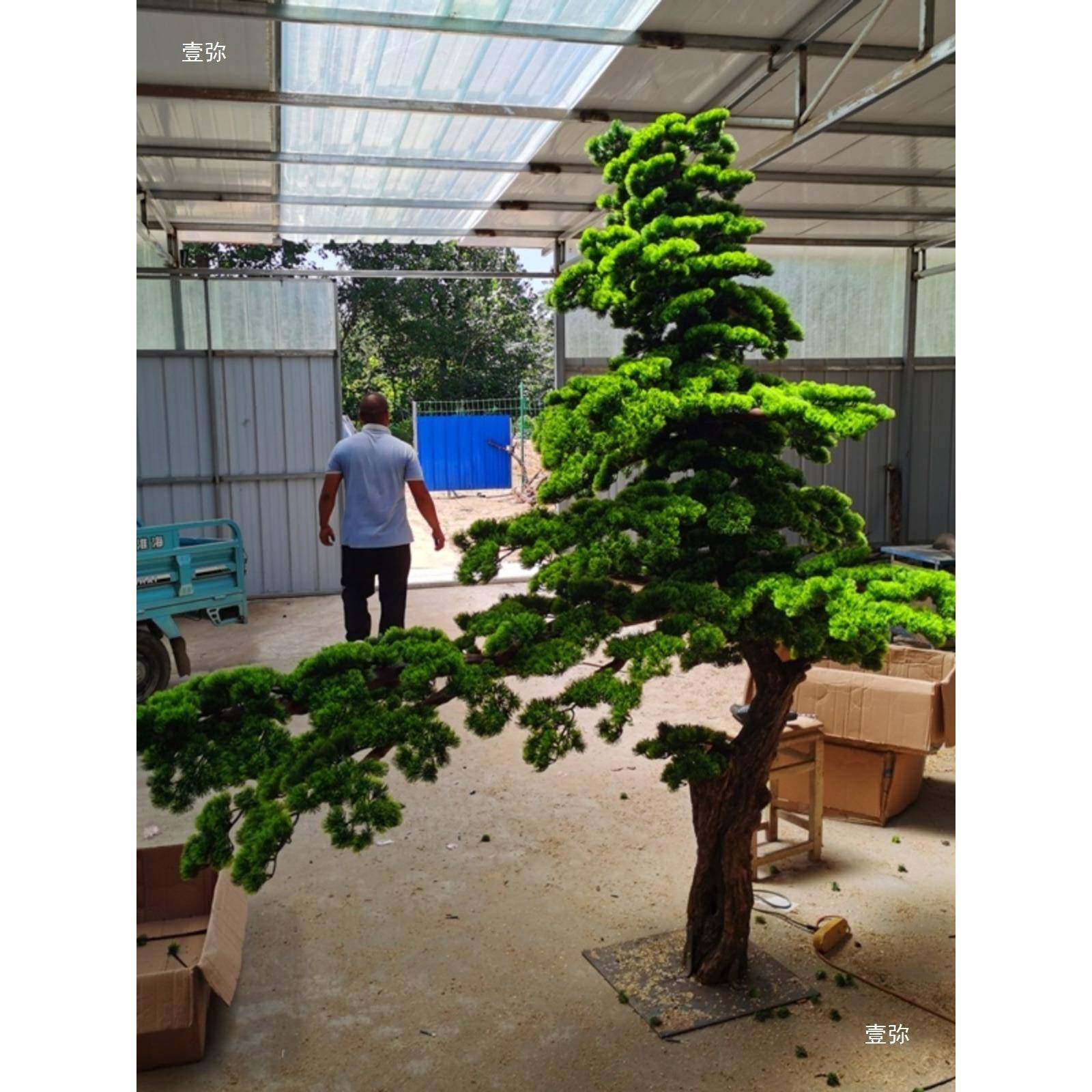 迎thfg$*&%客松大型绿植装饰商汉场造景松美人罗树松庭院摆假设新,鲜花速递/花卉仿真/绿植园艺,仿真绿植,淘宝优惠券,粉丝福利购,淘宝优惠卷