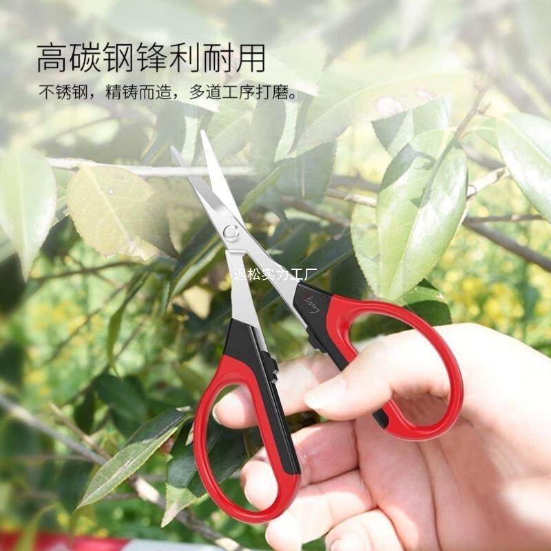 迈越园艺枝果树修花枝剪花蔬卉花艺修剪树枝专用葡剪萄果VVP剪手,电子元器件市场,其它元器件,淘宝优惠券,粉丝福利购,淘宝优惠卷
