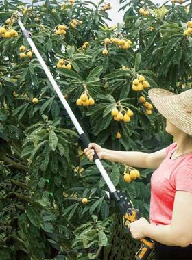 树高枝弯头剪PRZ采高空延长摘枝粗枝剪园林修剪果摘果粗两用修枝